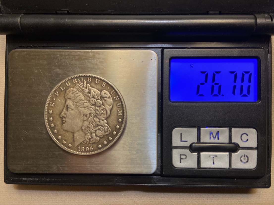 1895-O-Morgan.-Fake-Or-Real